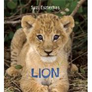 Eye on the Wild: Lion