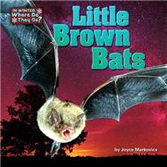 Little Brown Bats