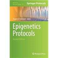 Epigenetics Protocols