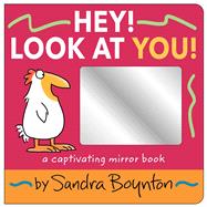 Hey! Look at You! A Captivating Mirror Book