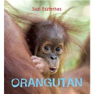 Eye on the Wild: Orangutan