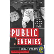 Public Enemies : America's Greatest Crime Wave and the Birth of the FBI, 1933-34