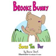 Brooke Bunny Saves the Day