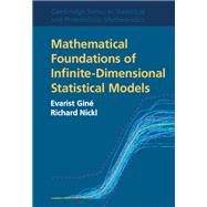 Mathematical Foundations of Infinite-dimensional Statistical Models