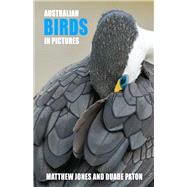 Australian Birds in Pictures