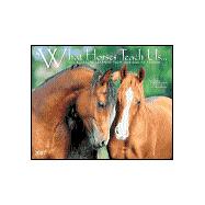 What Horses Teach Us... 2007 Calendar: Life's Lessons learned from our Equine Friends : No one understands you like your mother