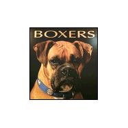 Boxers 2000 Calendar