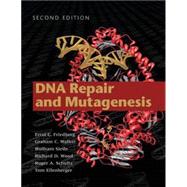 DNA Repair And Mutagenesis