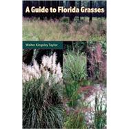 A Guide to Florida Grasses