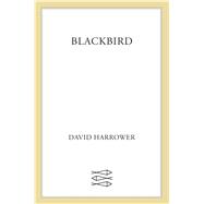 Blackbird A Play
