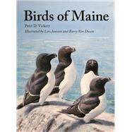 Birds of Maine