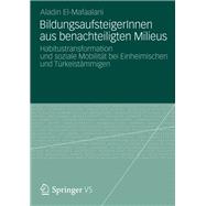 BildungsaufsteigerInnen aus benachteiligten Milieus