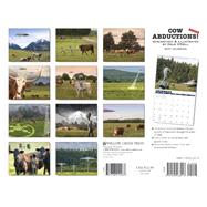 Cow Abduction 2007 Calendar