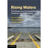 Rising Waters: The Causes and Consequences of Flooding in the United States