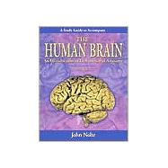 Study Guide to Accompany the Human Brain : An Introduction to Its Functional Anatomy