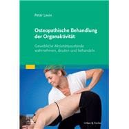 Osteopathische Behandlung der Organaktivität