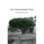 The Chinaberry Tree A Novel of American Life