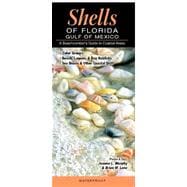 Shells of Florida