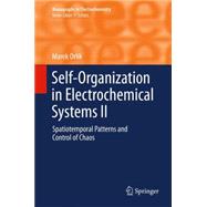 Self-organization in Electrochemical Systems