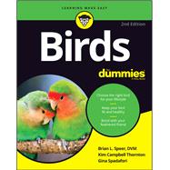 Birds for Dummies
