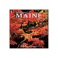 Wild & Scenic Maine 2003 Calendar