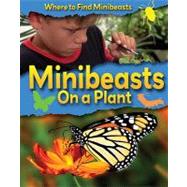 Minibeasts on a Plant