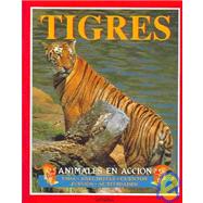 Tigres: Animales en accion
