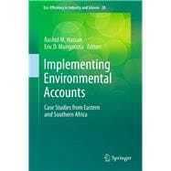 Implementing Environmental Accounts