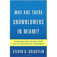 Why Are There Snowblowers in Miami?