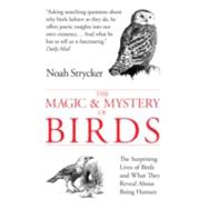 The Magic and Mystery of Birds: The Surprising Lives of Birds and What They Reveal About Being Human