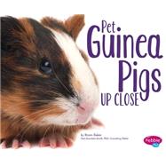 Pet Guinea Pigs Up Close