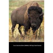 Lone American Bison Buffalo