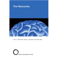 The Neocortex