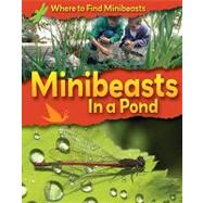 Minibeasts in a Pond