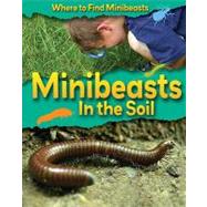 Minibeasts in the Soil