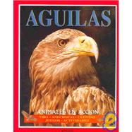 Aguilas: Animales en accion