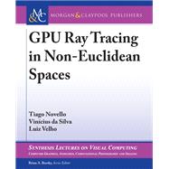 GPU Ray Tracing in Non-Euclidean Spaces