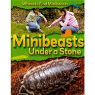 Minibeasts Under a Stone