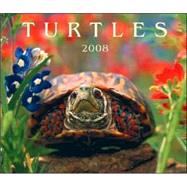 Turtles 2008 Calendar