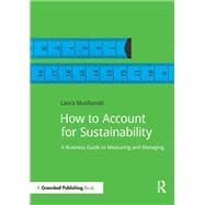 How to Account for Sustainability