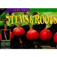 Plant Stems & Roots