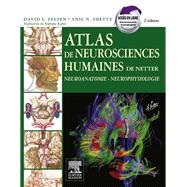 Atlas de neurosciences humaines de Netter
