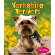 Yorkshire Terriers