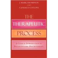 The Therapeutic Process A Clinical Introduction to Psychodynamic Psychotherapy