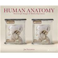 Human Anatomy Stereoscopic Images of Medical Specimens