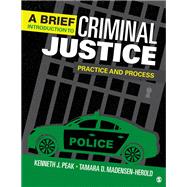 A Brief Introduction to Criminal Justice