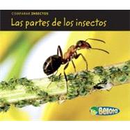 Las partes de los insectos / Bug Parts