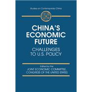 China's Economic Future