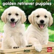 Golden Retriever Puppies 2011 Calendar
