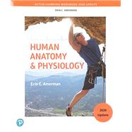 Active-Learning Workbook for Human Anatomy & Physiology, Updated Edition